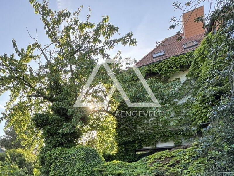 Erwerbsklassiker mit Gestaltungspotenzial: Historische Stadtvilla mit großzügigem Grundstück in Bestlage von Stadtfeld Ost