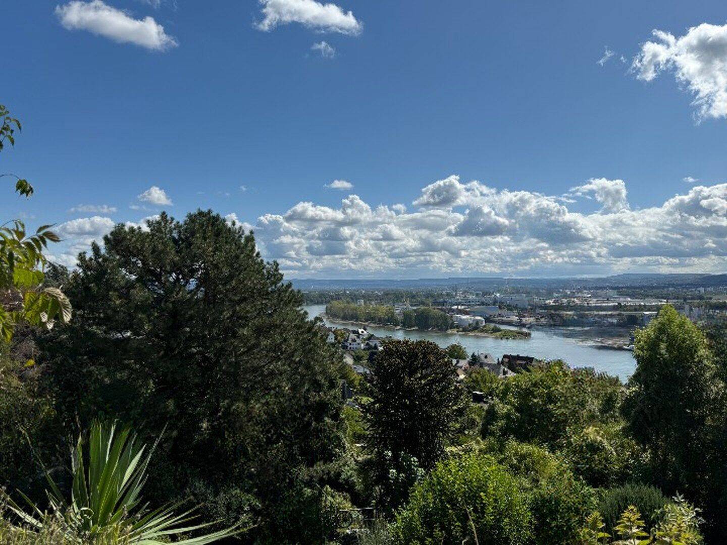 Traumhafte Terrassenwohnung mit Rheinblick & Naturpark vor der Tür, 56567 Neuwied