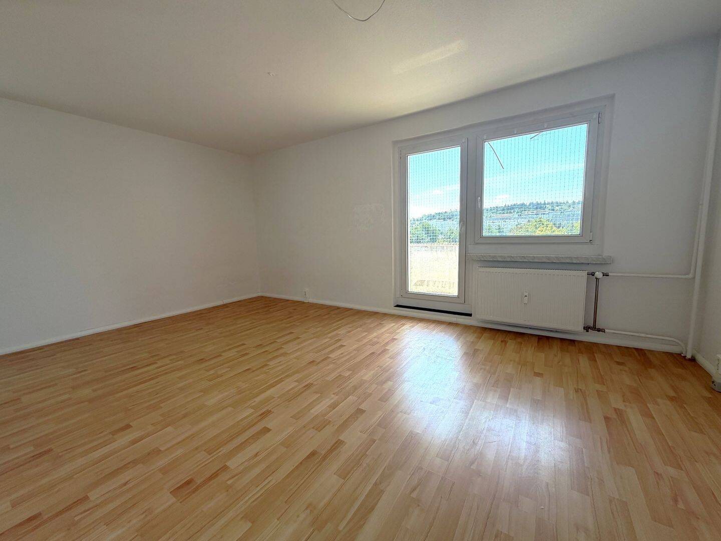 **gemütliche 1 Zimmer Wohnung mit Wanne **, 8529 Plauen