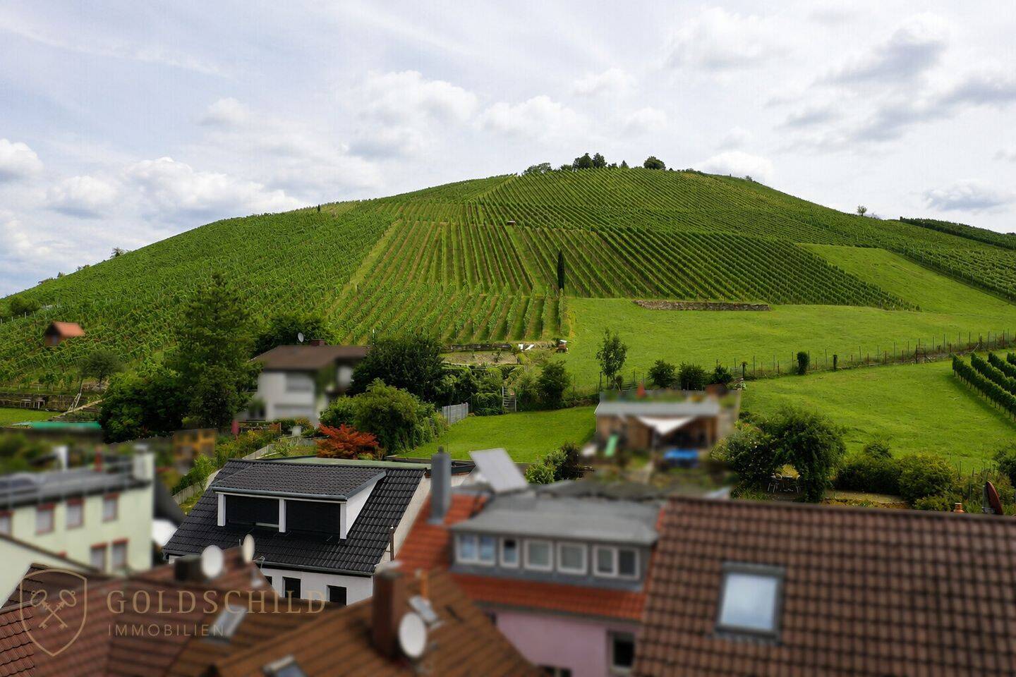 Mit der Gartentür in die Weinberge | kernsaniertes Einfamilienhaus am Fuße des Mönchbergs, 70327 Stuttgart