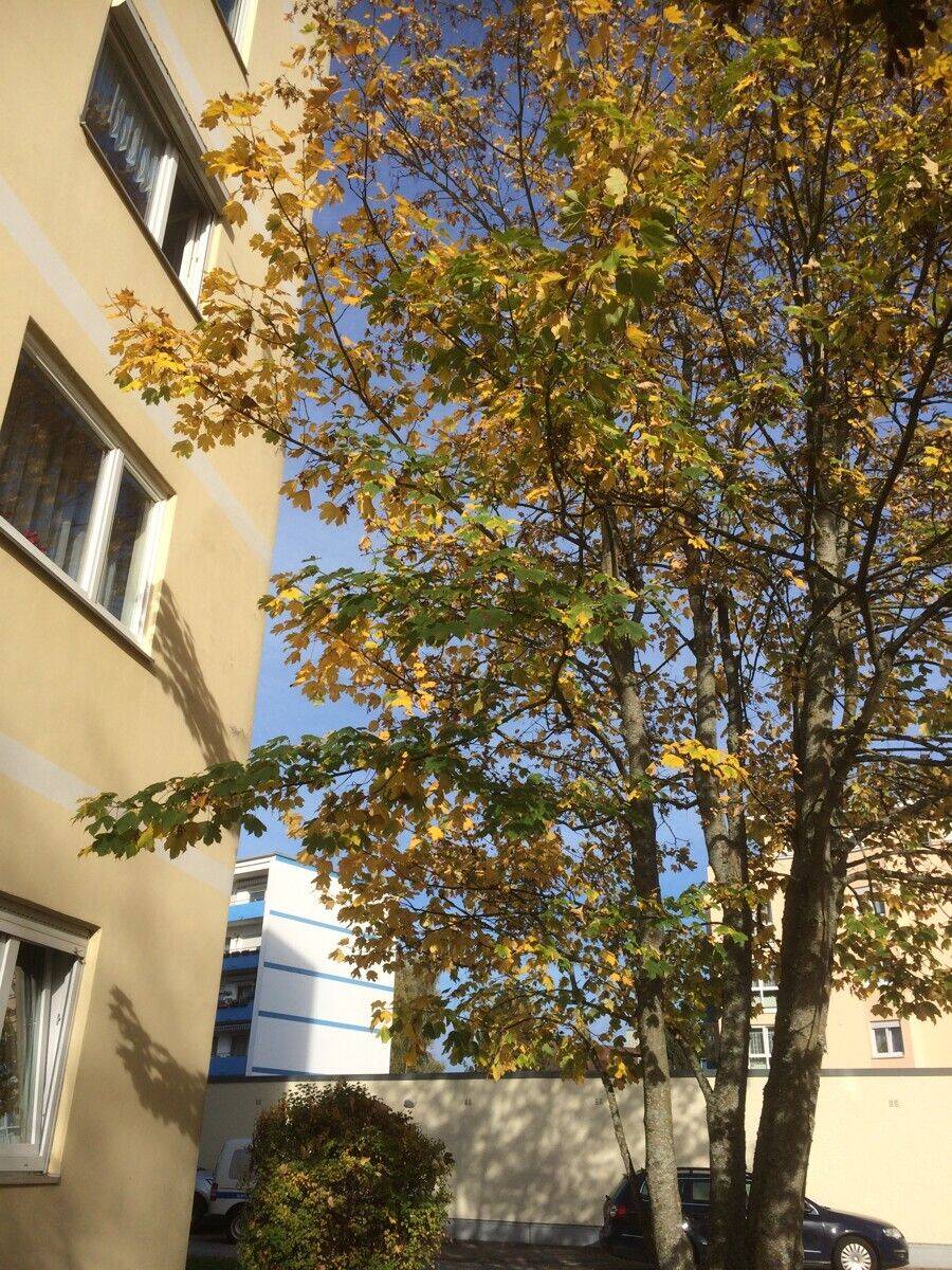 sonnige 4-Zimmer-Wohnung Balkon, Aufzug, abschließbare Einzelgarage unverbaubare Aussicht Sanierungsbedürftig, 78048 Villingen-Schwenningen