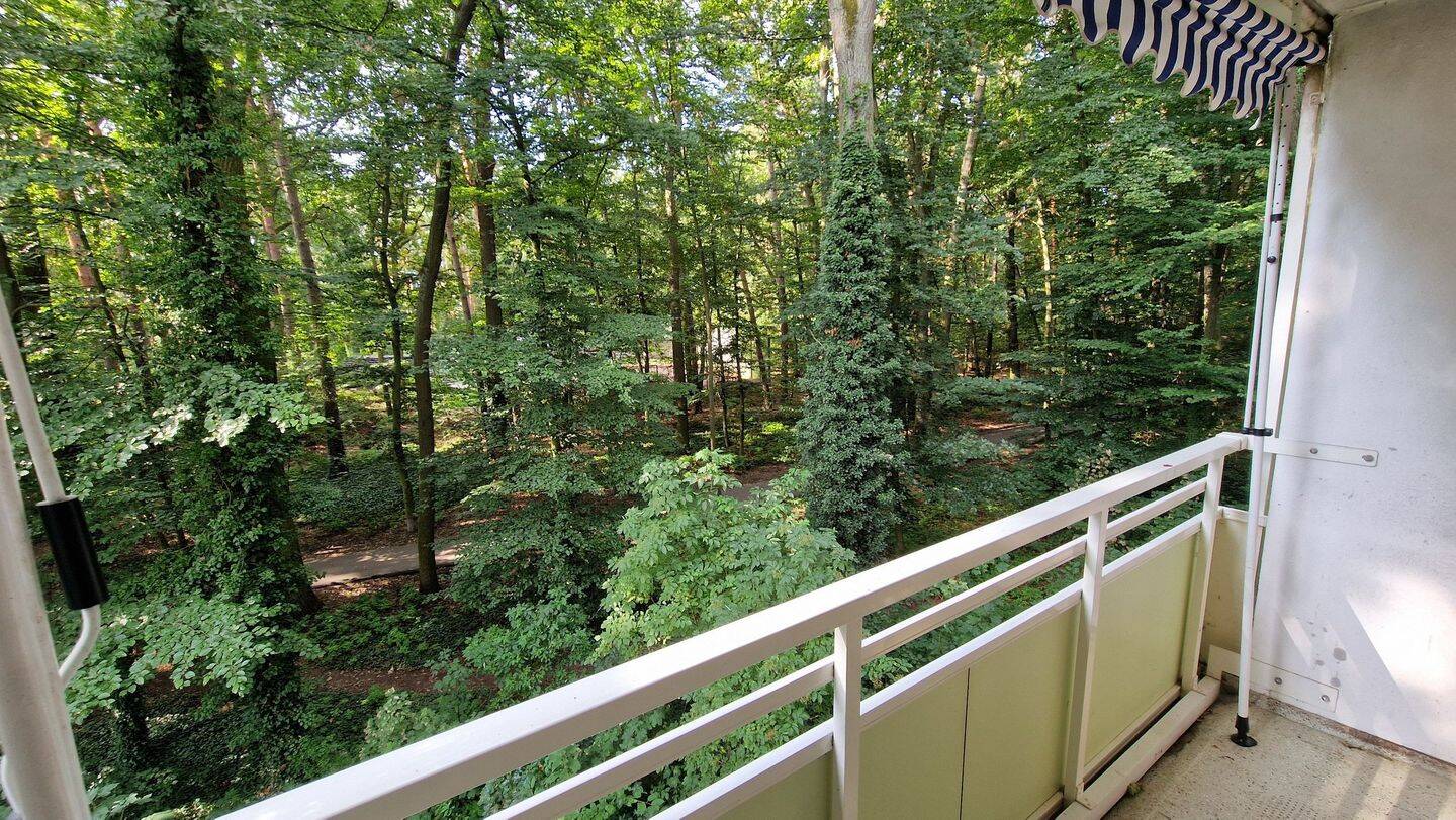 1 Zimmerwohmung mit Balkon (ohne Fahrstuhl) in Potsdam sucht neuen Mieter – 14478 Potsdam – Vorschaubild 4