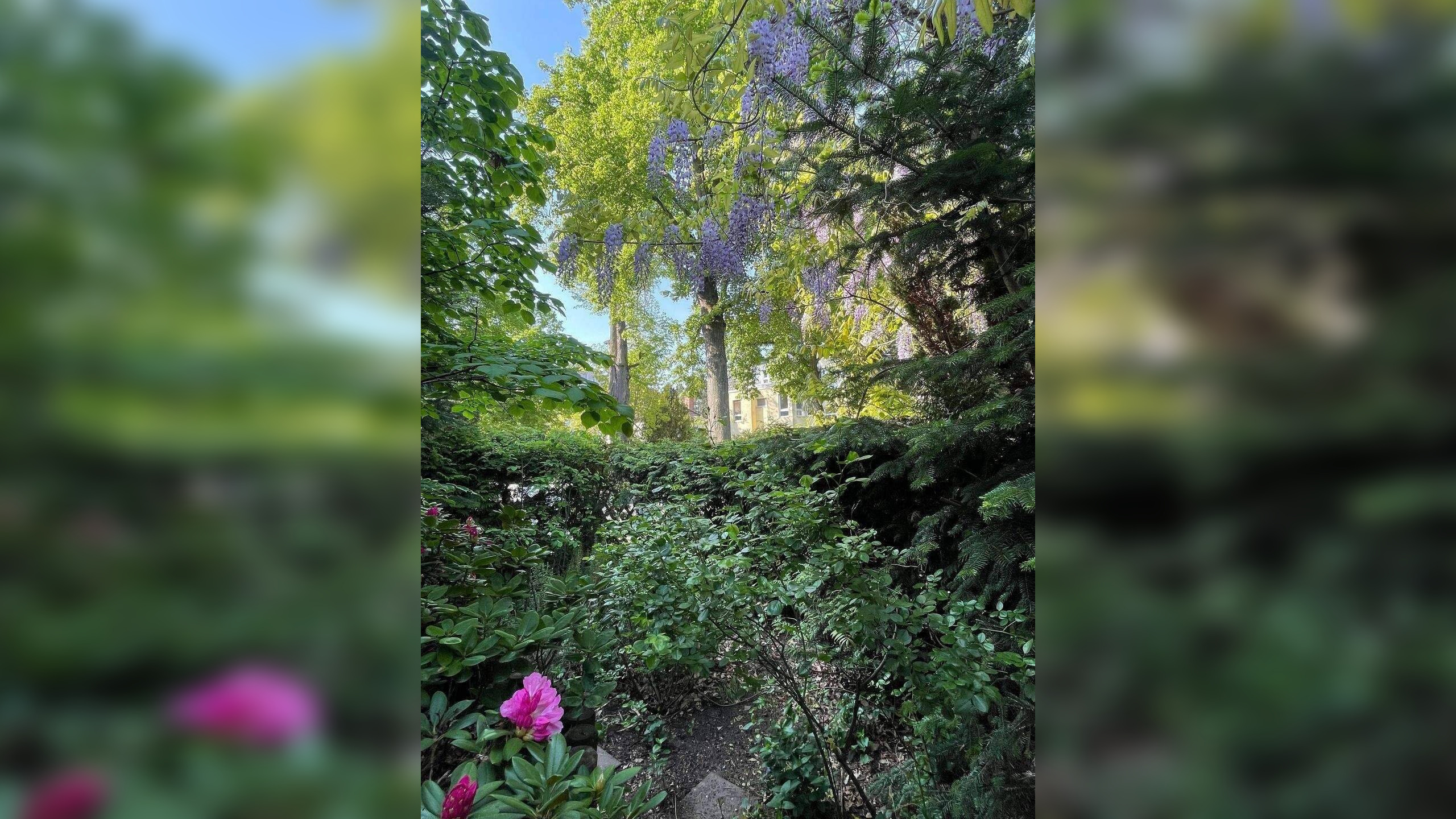 WOHNEN AUF 3 EBENEN ….mit Terrasse, eigenem Garten und Tiefgarage! – 12209 Berlin – Vorschaubild 8