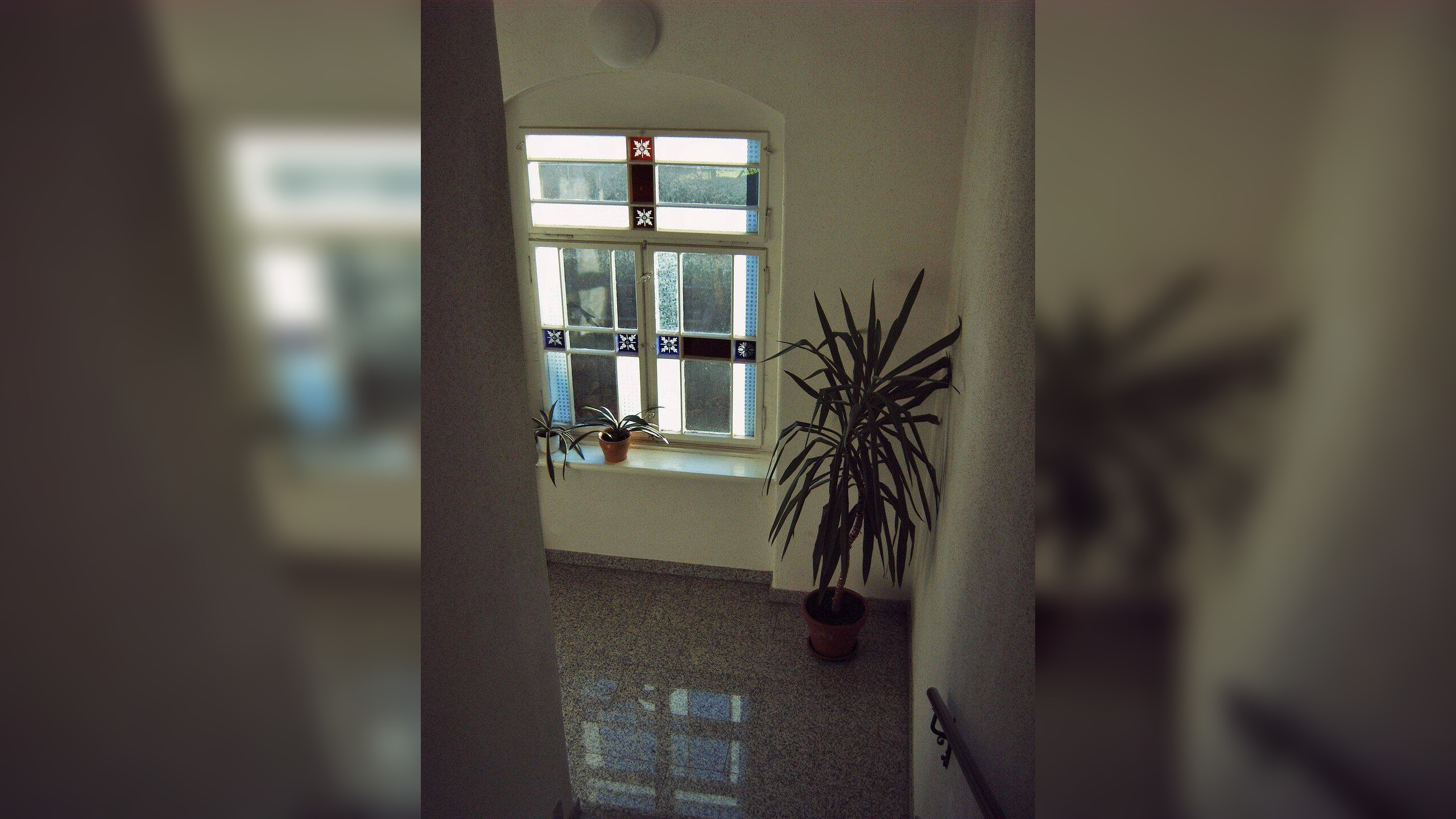 Helle, schöne 3-Raum-Wohnung im ruhigen Villenviertel Dresden-Trauchau – 1129 Dresden – Vorschaubild 8