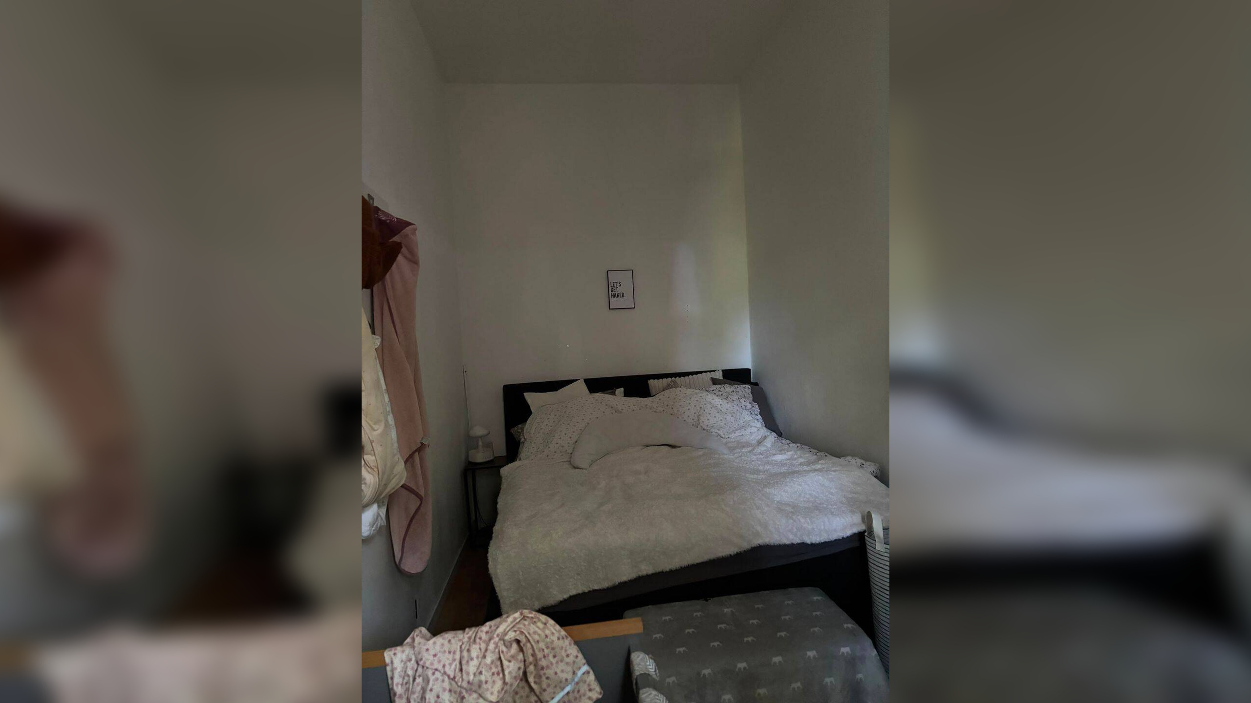 2,5-Zimmer-Wohnung in der Brühlervorstadt – Nähe Luisenpark – 99084 Erfurt – Vorschaubild 2