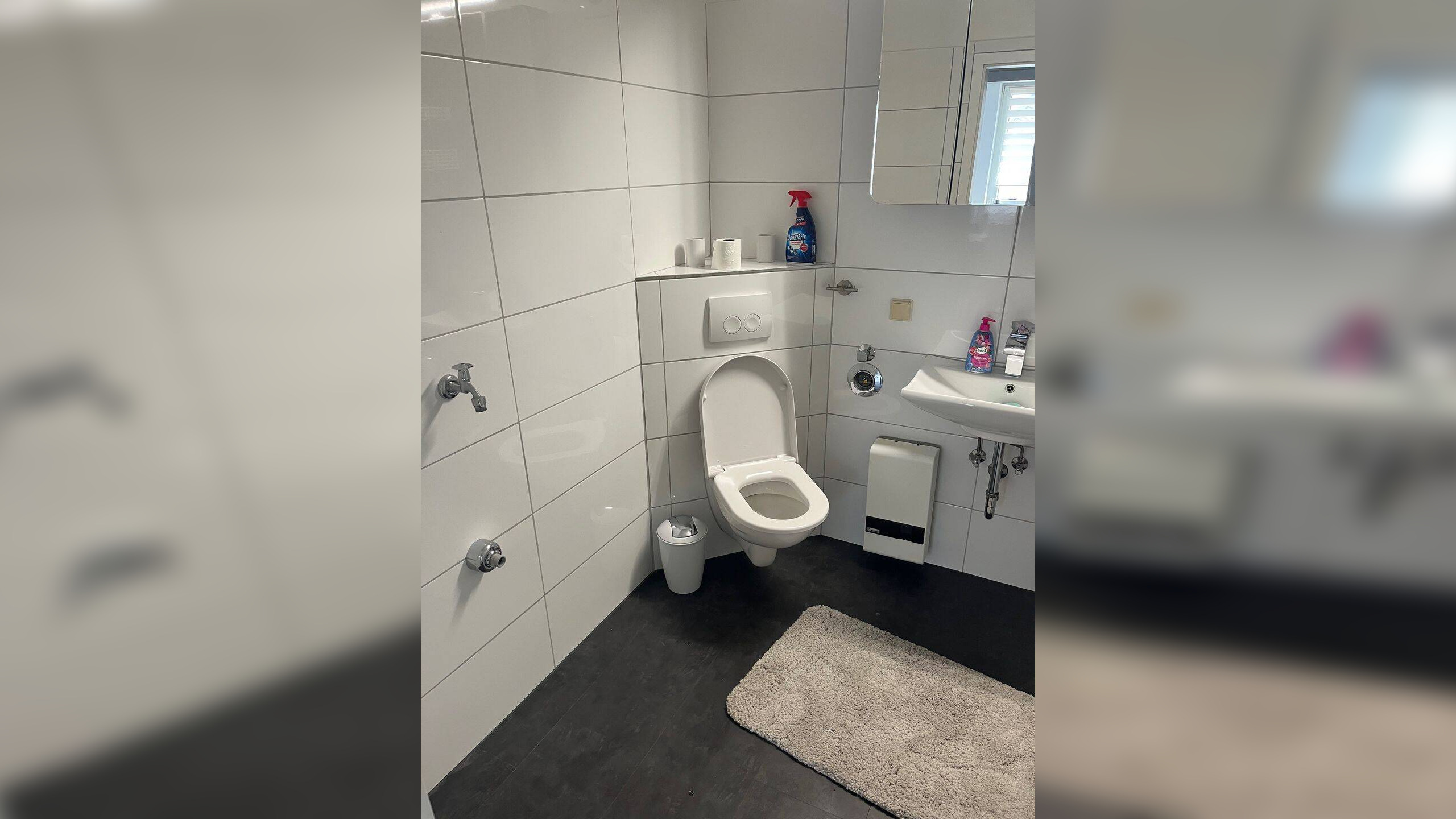 2 Zimmer Wohnung in Danndorf (Nähe Wolfsburg) – 38461 Danndorf – Vorschaubild 4