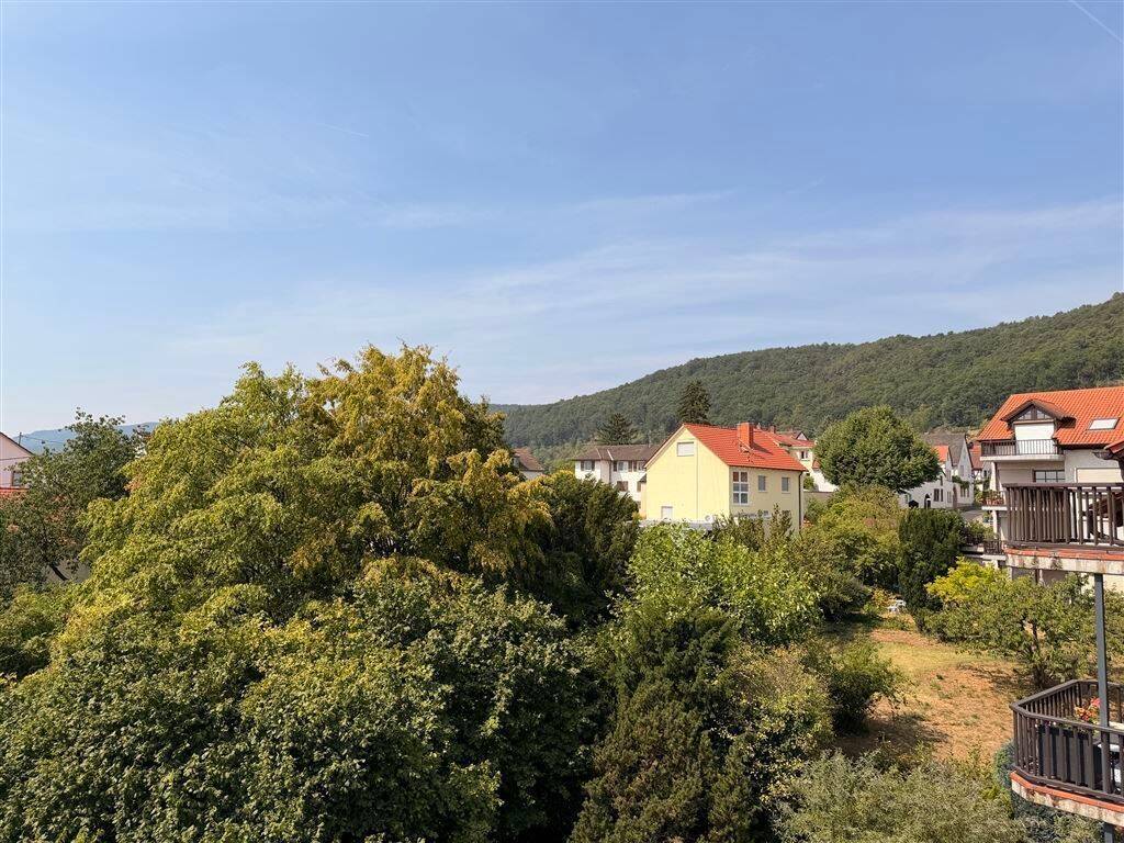 1-Zimmer-Wohnung auf der Haardt mit Weitblick – 67433 Neustadt an der Weinstraße – Vorschaubild 3
