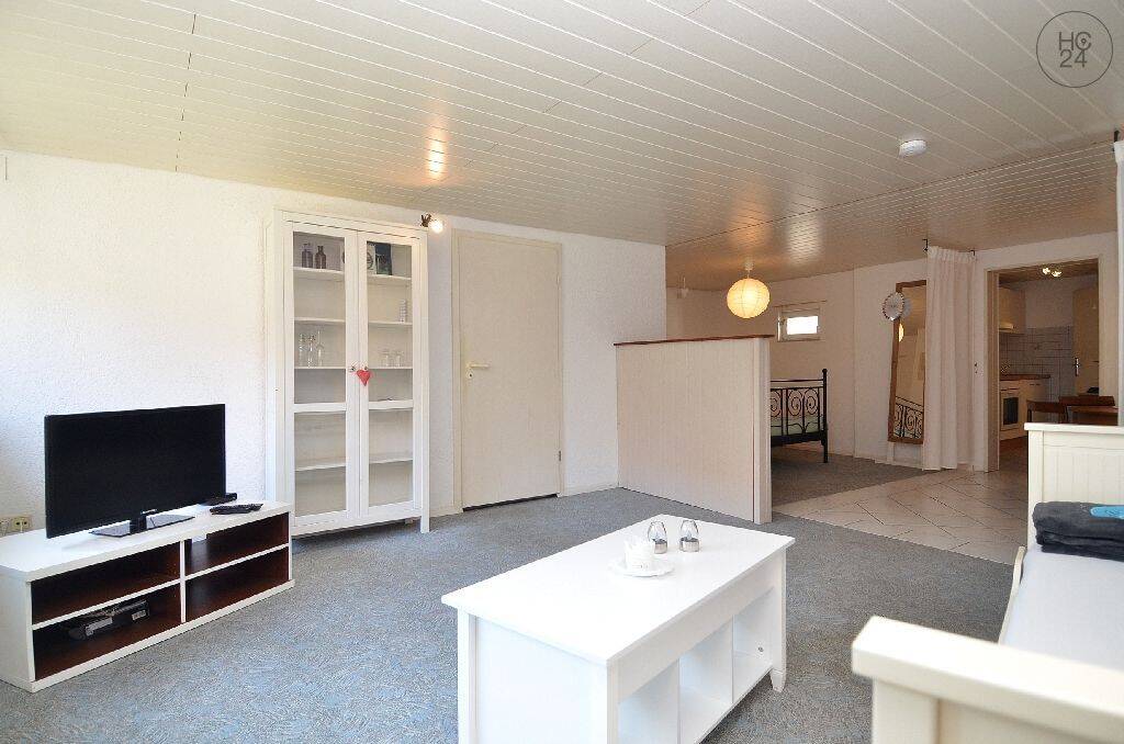 Große 1-Zimmer-Wohnung mit kleinem Freisitz in Rheinfelden-Minseln, möbliert – 79618 Rheinfelden (Baden) – Vorschaubild 3