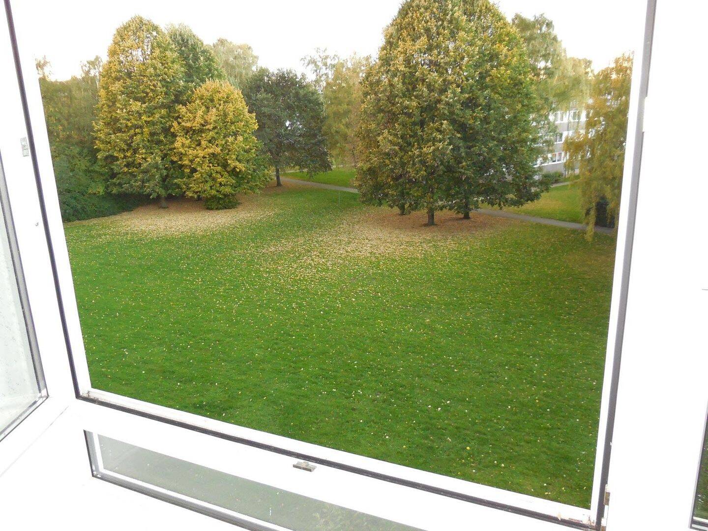 Ruhig gelegene 3 Zim.-Whg. mit Balkon zum Park – 38228 Salzgitter – Vorschaubild 9