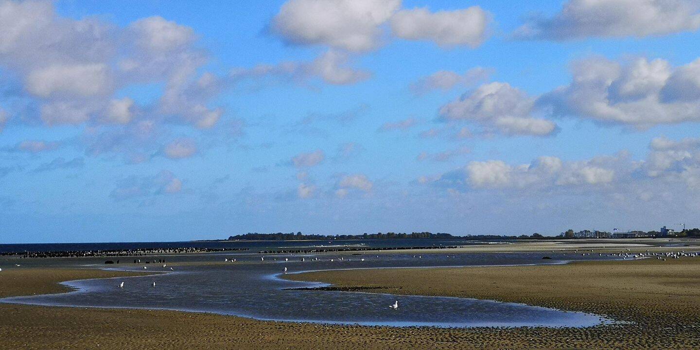 Wohnen, wo andere Urlaub machen. Strandnähe, Gartenecke. 2 Zimmer Wohnung für Singles oder Paare – 24235 Wendtorf – Vorschaubild 10