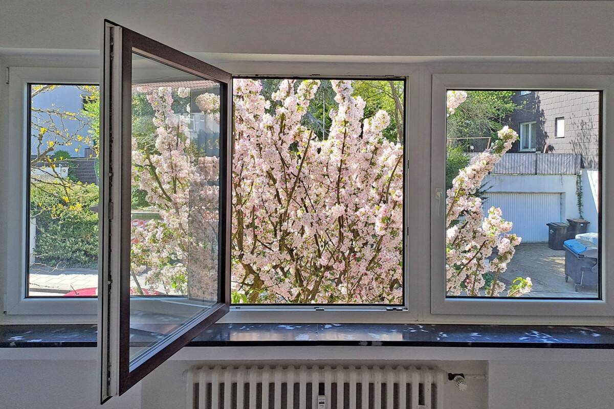 Home, sweet home! Freundliches, helles 2½-Raum-Zuhause mit Balkon – 45239 Essen – Vorschaubild 9