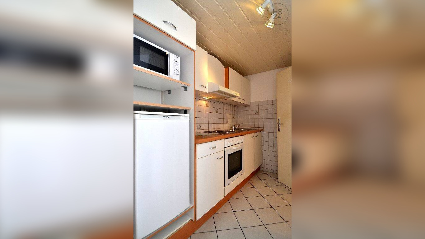 Große 1-Zimmer-Wohnung mit kleinem Freisitz in Rheinfelden-Minseln, möbliert – 79618 Rheinfelden (Baden) – Vorschaubild 10