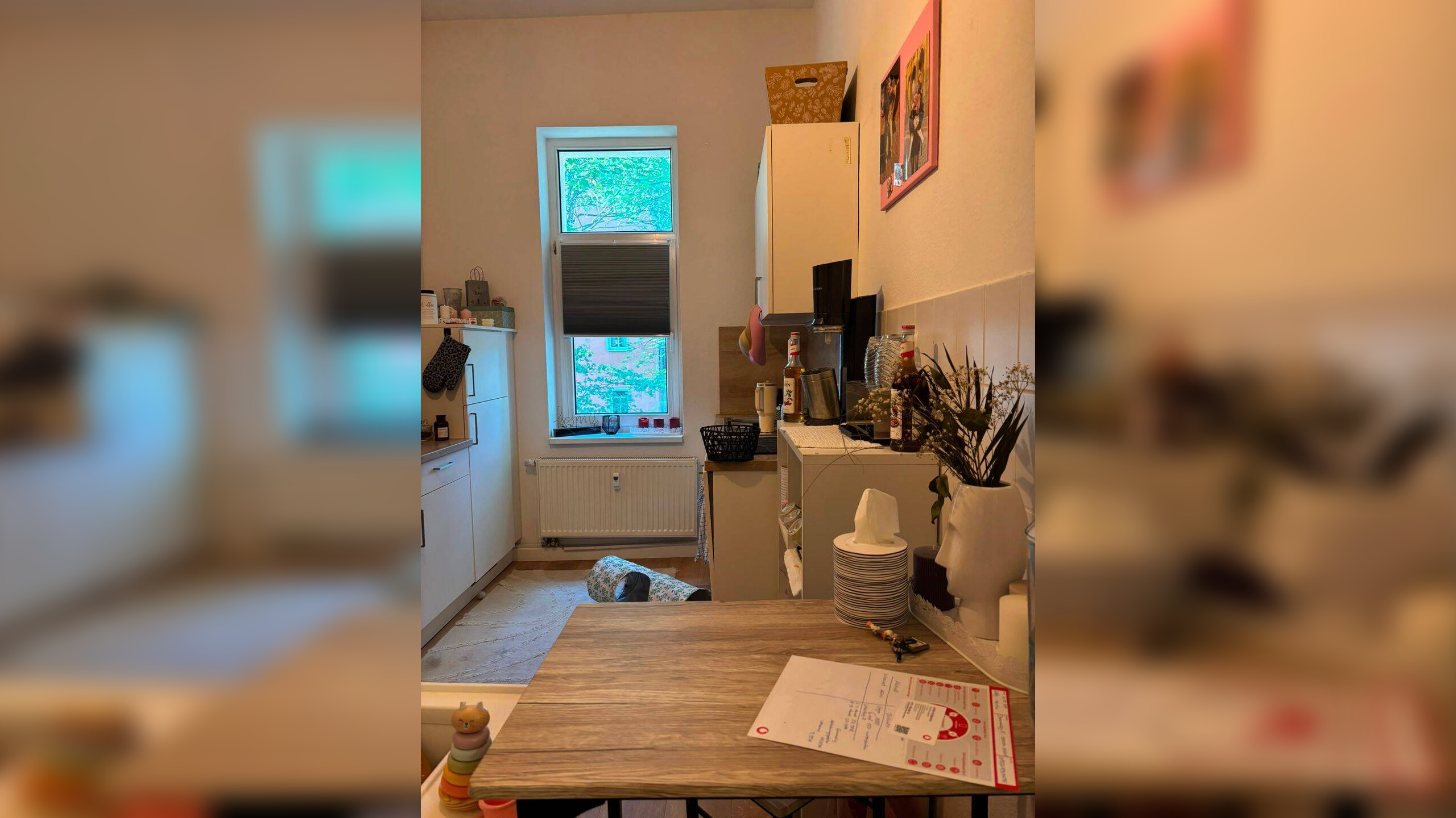 2,5-Zimmer-Wohnung in der Brühlervorstadt – Nähe Luisenpark – 99084 Erfurt – Vorschaubild 12