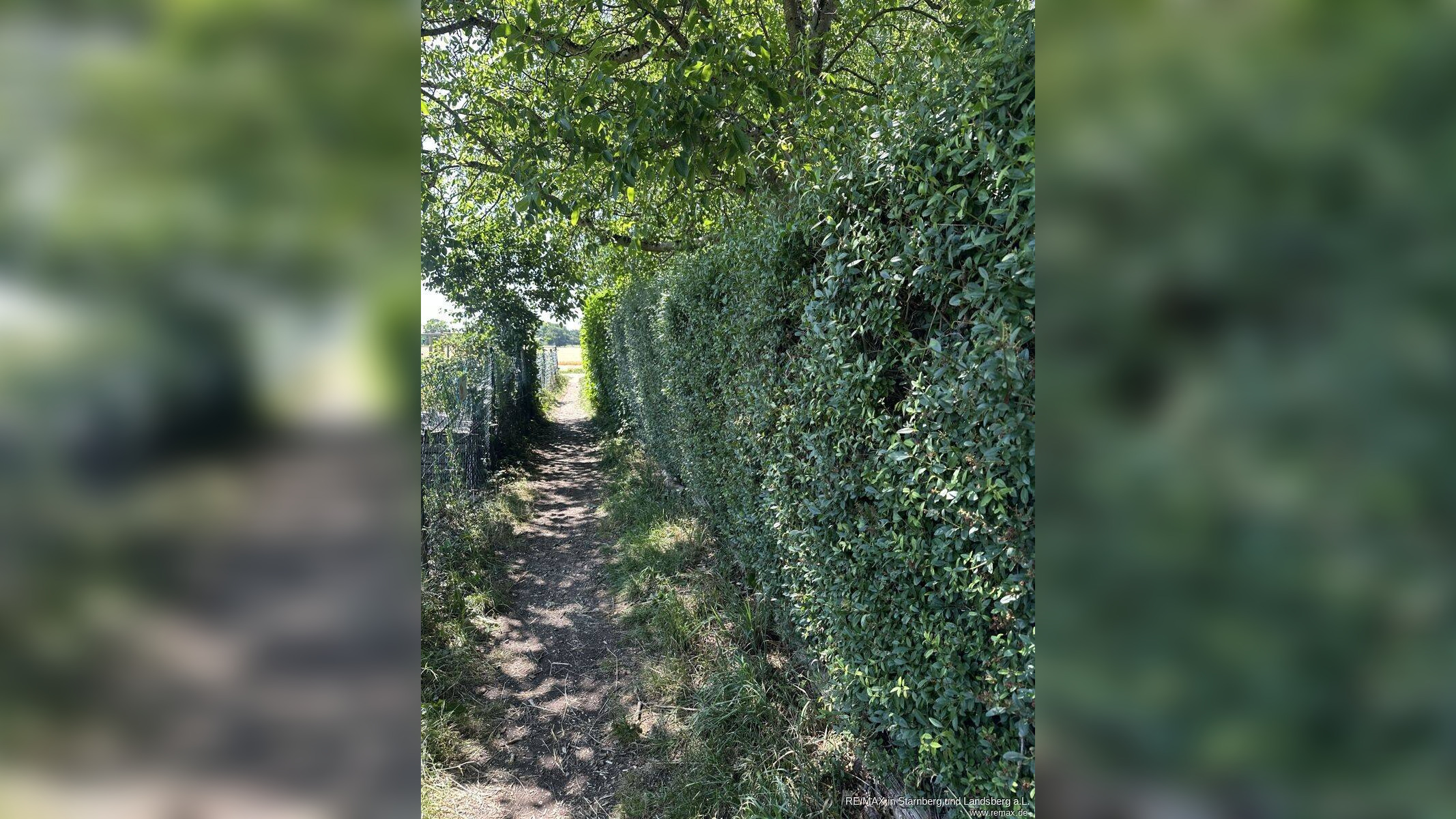 Hochparterre Wohnen im Grünen – Parkstadt Solln – 81477 München – Vorschaubild 9