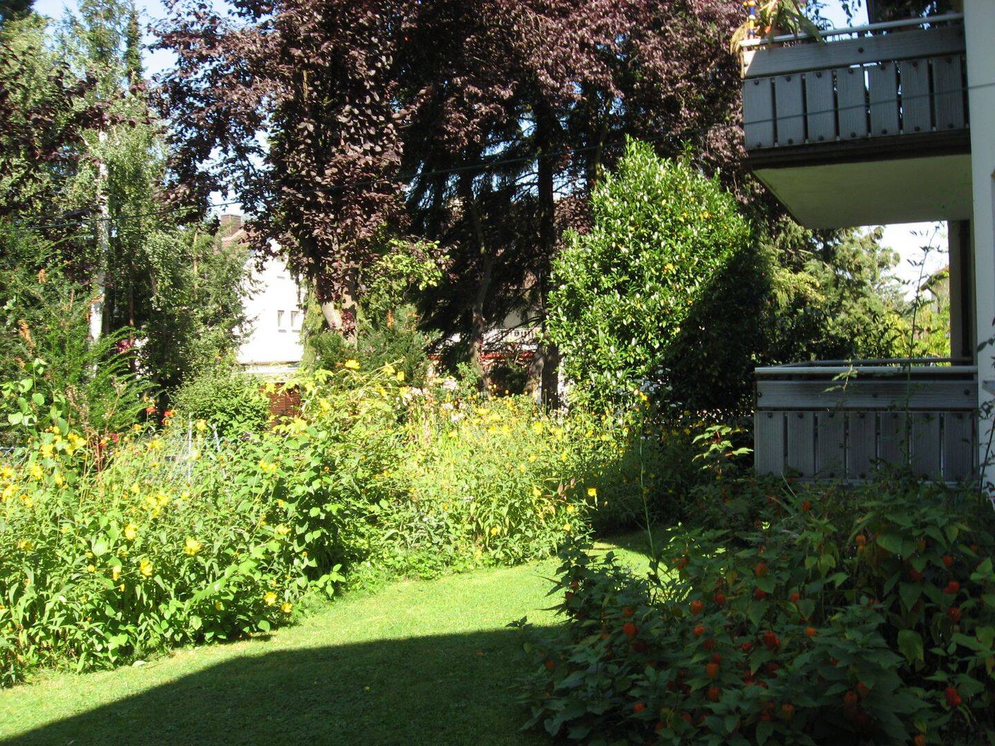 Charmante 2-Zimmer-Wohnung mit Großem Balkon in Bad Soden – 65812 Bad Soden am Taunus – Vorschaubild 4
