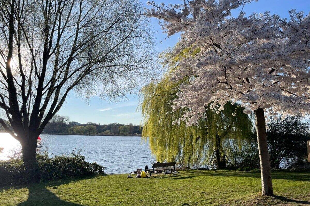 Zwischen Wasser und Weitblick – mehr als nur eine Adresse! – 22087 Hamburg – Vorschaubild 5