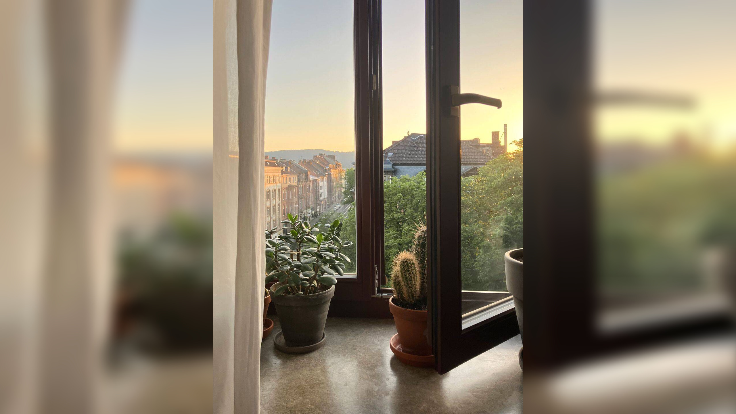Friedrich-Ebert-Straße.. 1-Zimmer-Apartment ohne Balkon zum kurzfristigen Einzug – 34119 Kassel – Vorschaubild 5