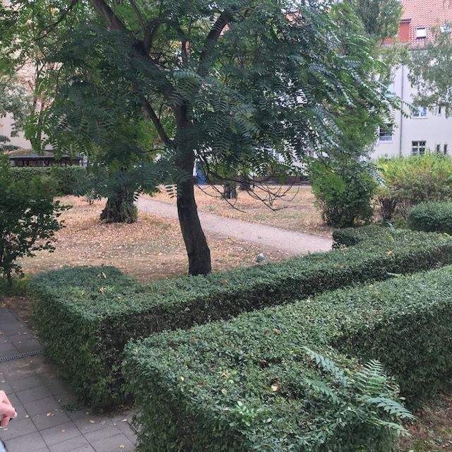 Bezugsfrei! Keine Provision! Sonnige 2-Zi-DG, Bj 2000 im sanierten AB-Gebäude, gr. Innenhofgarten – 12459 Berlin – Vorschaubild 8