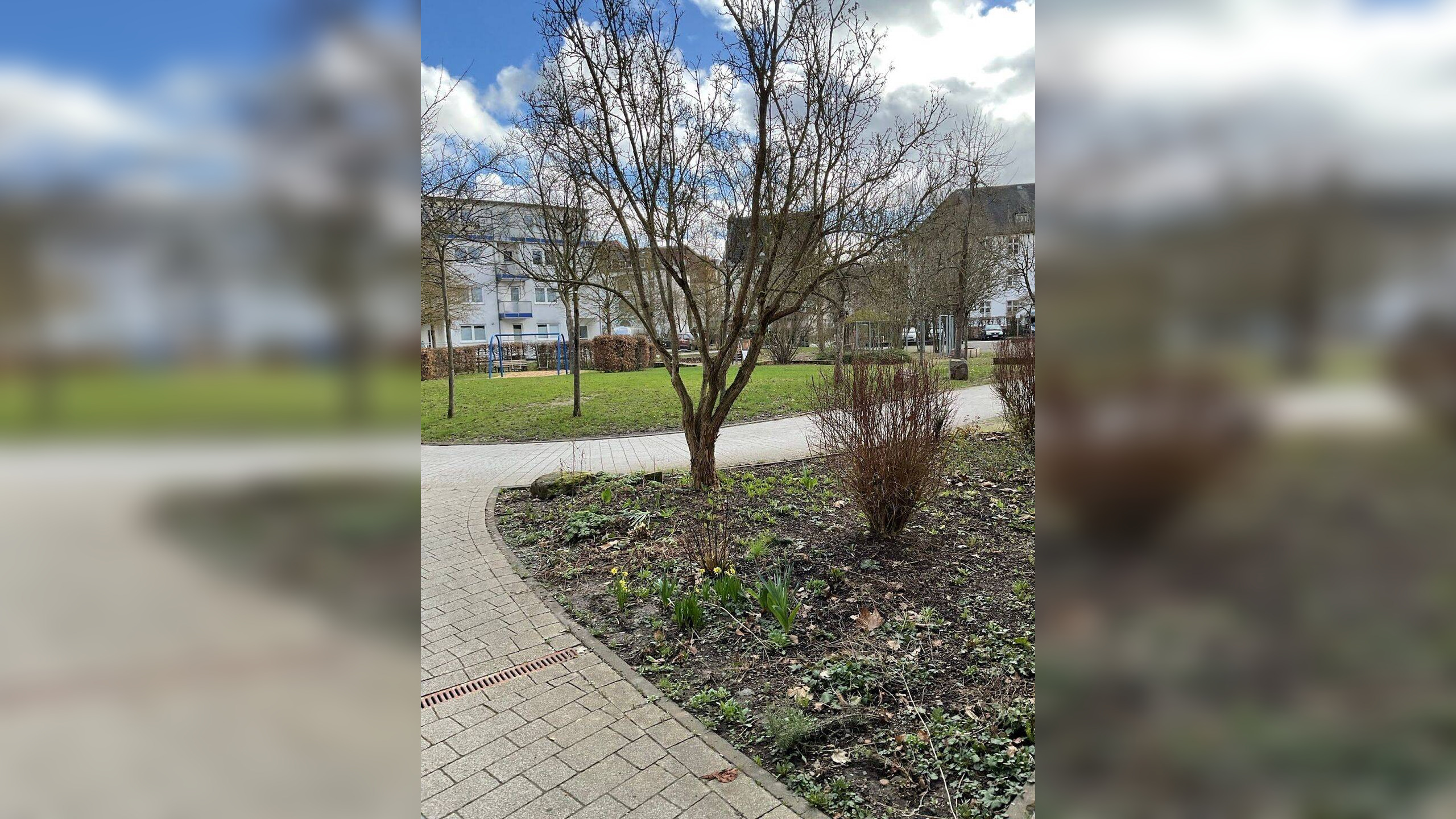 WBS erforderlich – Barrierefreie 2-Zimmer-Wohnung mit Balkon – 35037 Marburg – Vorschaubild 2