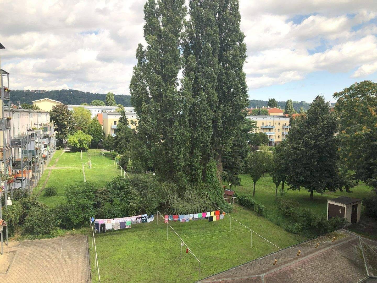 3-Zimmer-Wohnung mit Balkon in Laubegast zu vermieten! – 1279 Dresden – Vorschaubild 8