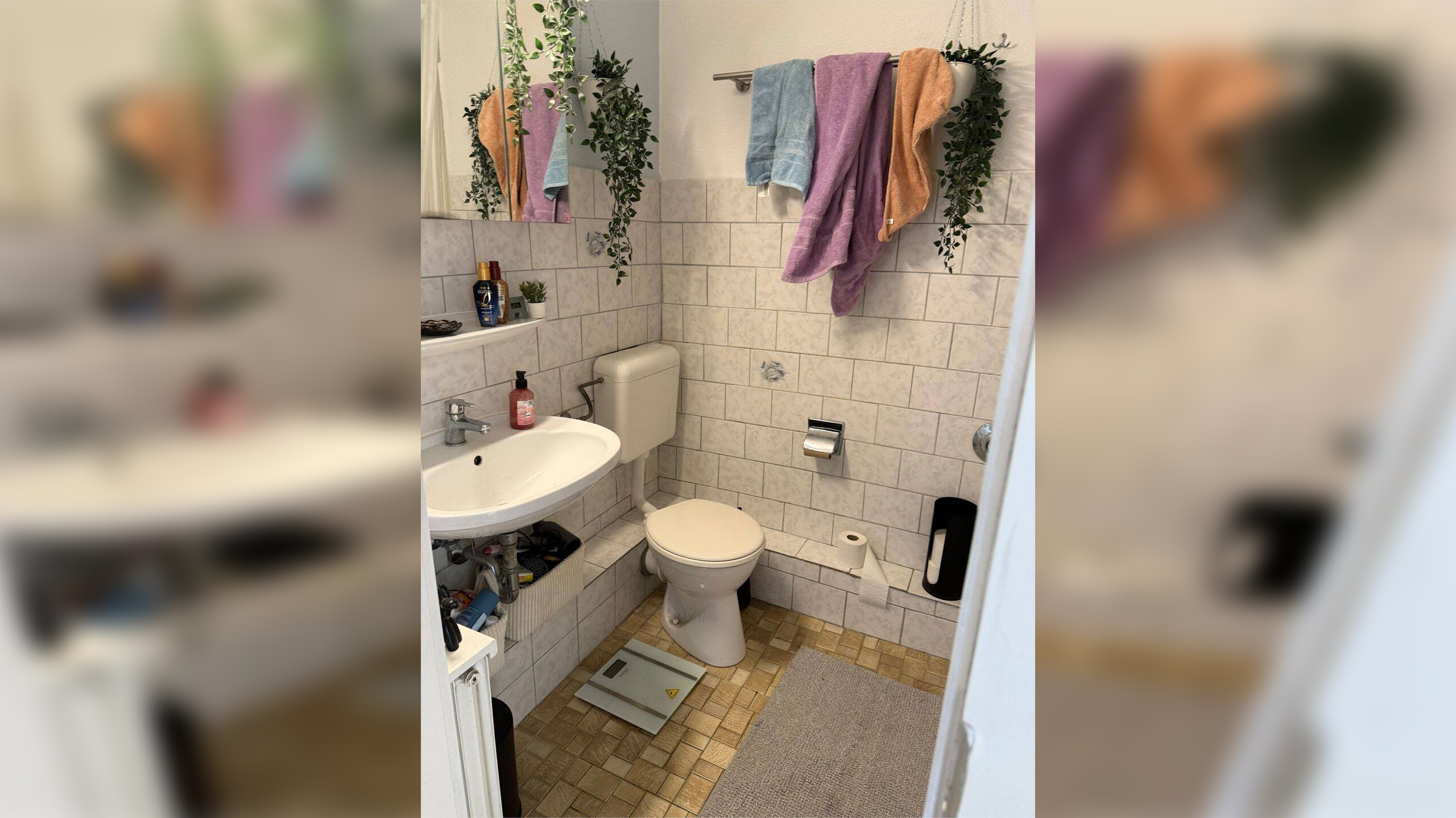 Schöne 3-Zimmer Wohnung zu vermieten! – 24116 Kiel – Vorschaubild 8