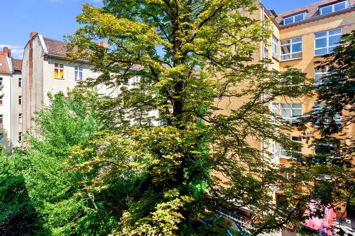 Ossastraße: Frisch renoviert. Gut geschnitten. Neukölln. – 12045 Berlin – Vorschaubild 9