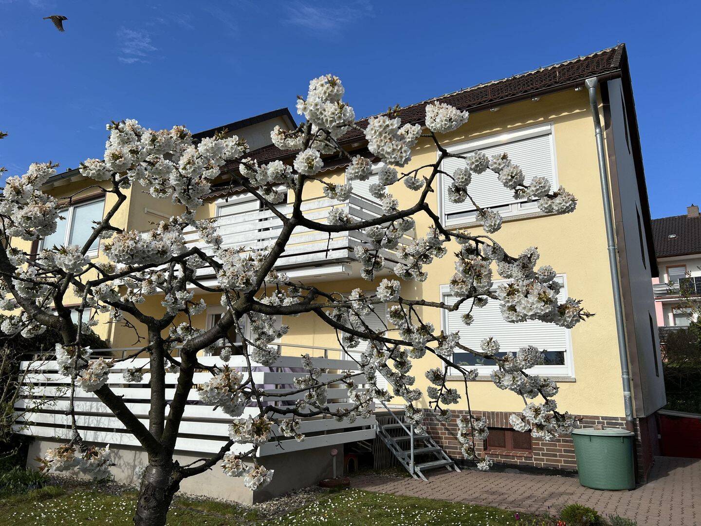 Bild 4