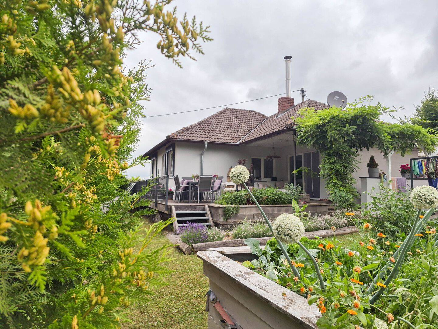 Bild 5