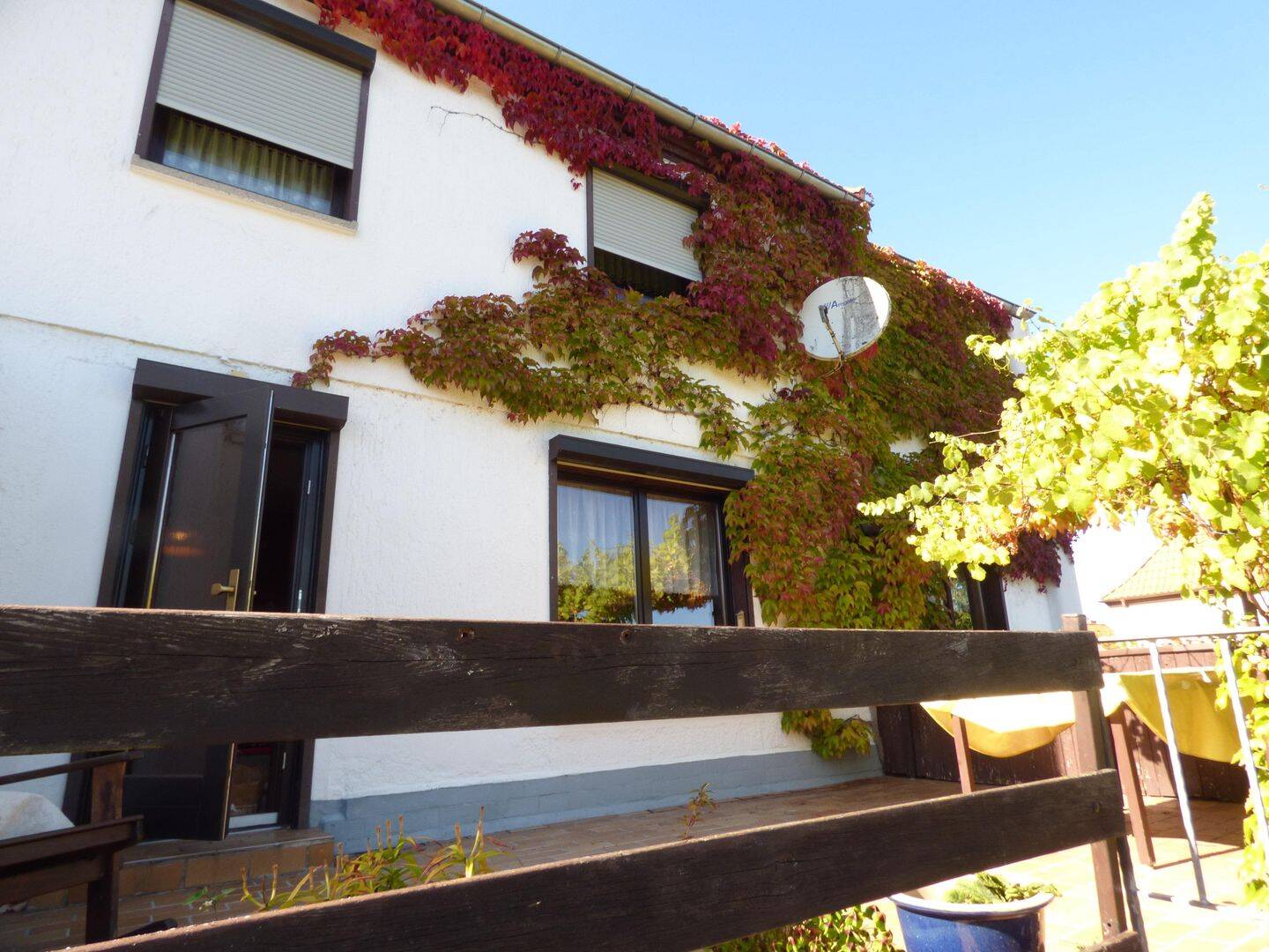 Bild 5