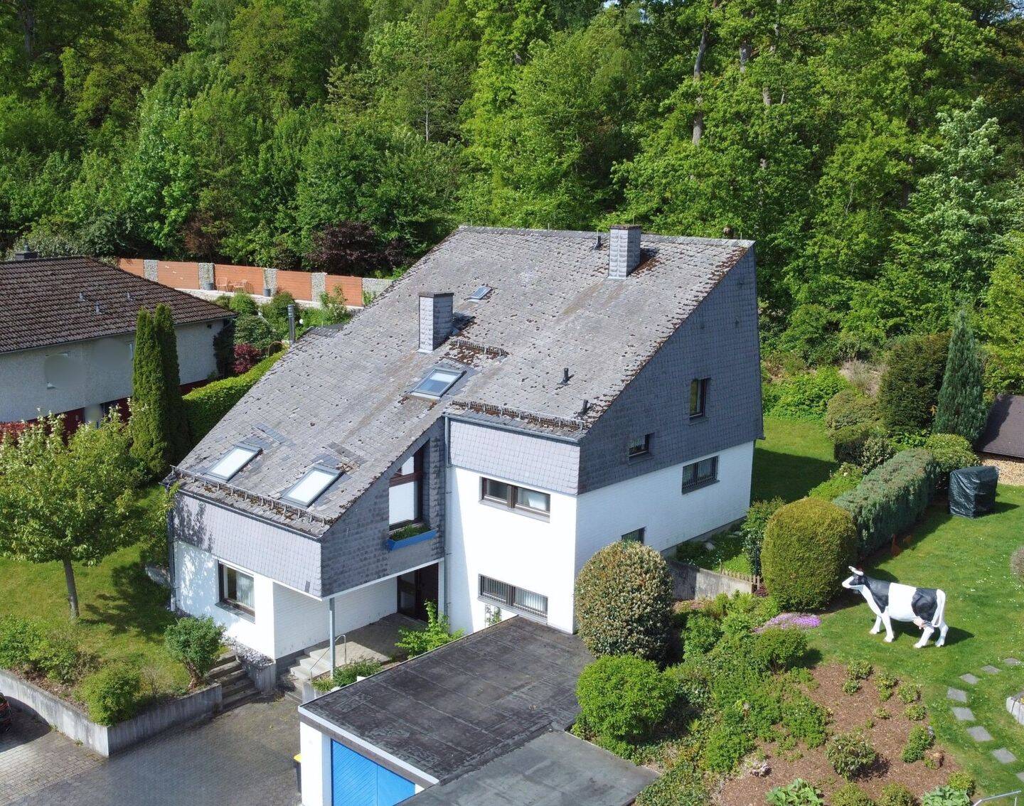 Bild 5