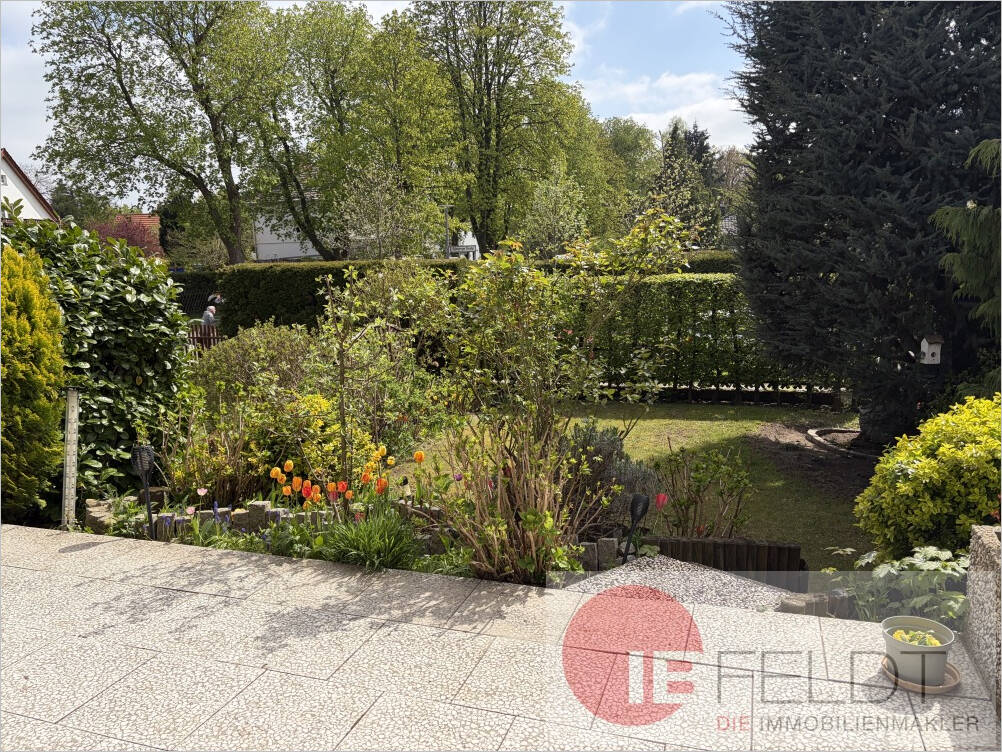 Bild 19