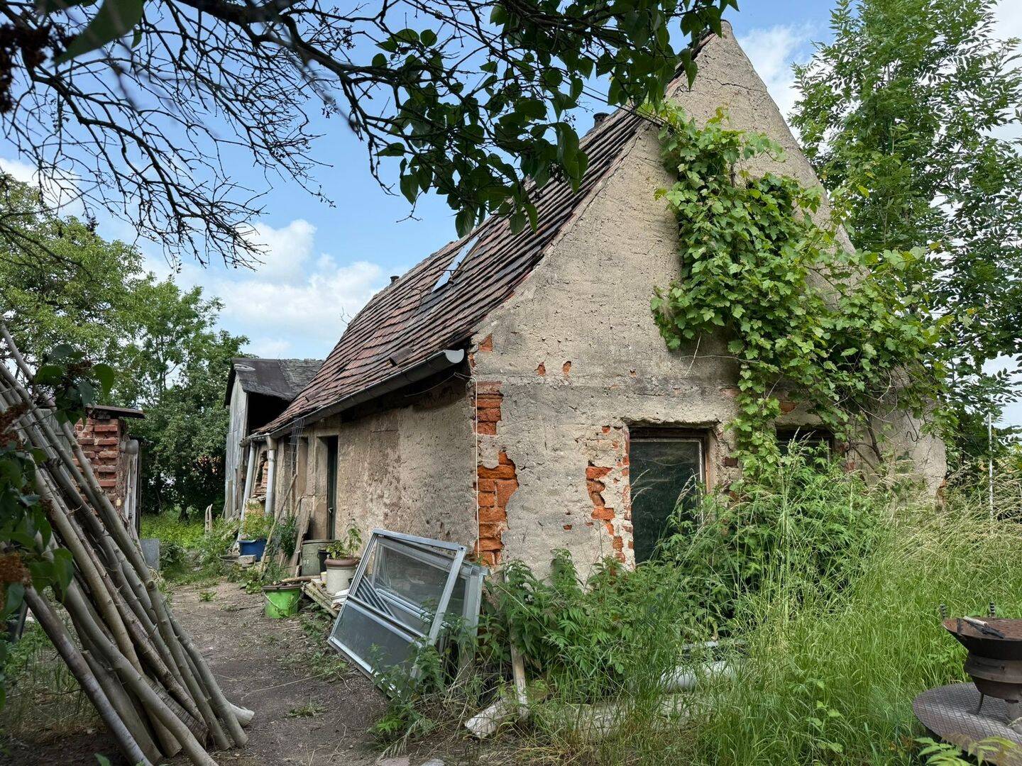Bild 5