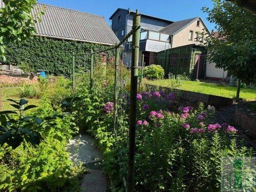 Bild 19