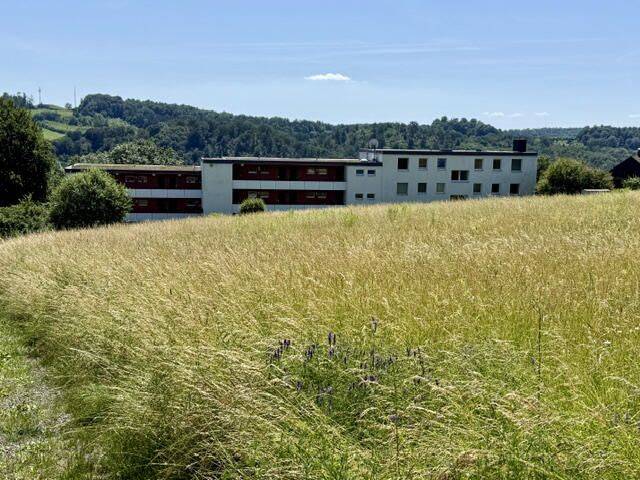 Bild 13