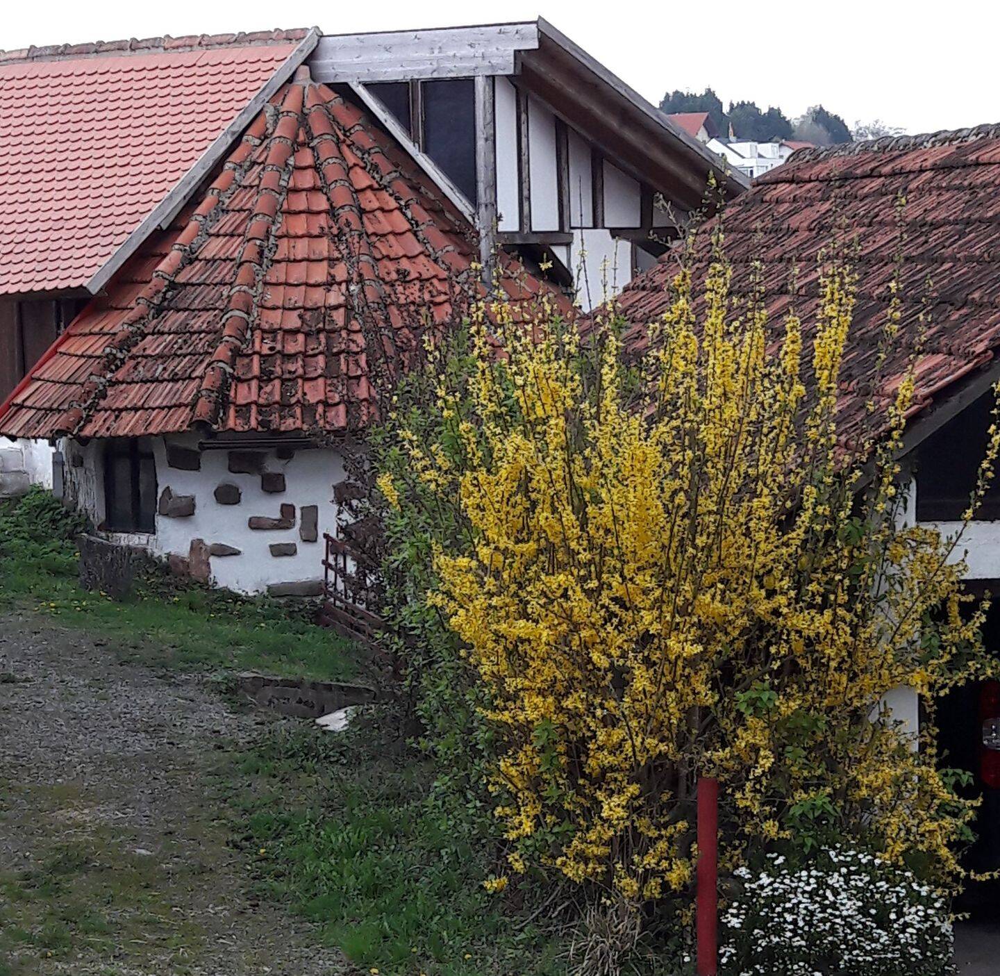 Bild 15
