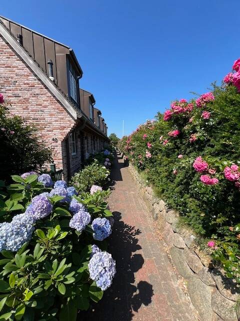 Ferienvermietung möglich/ Exklusives Hausteil mit kleinem Süd-West Garten in Tinnum/Sylt, 25980 Sylt
