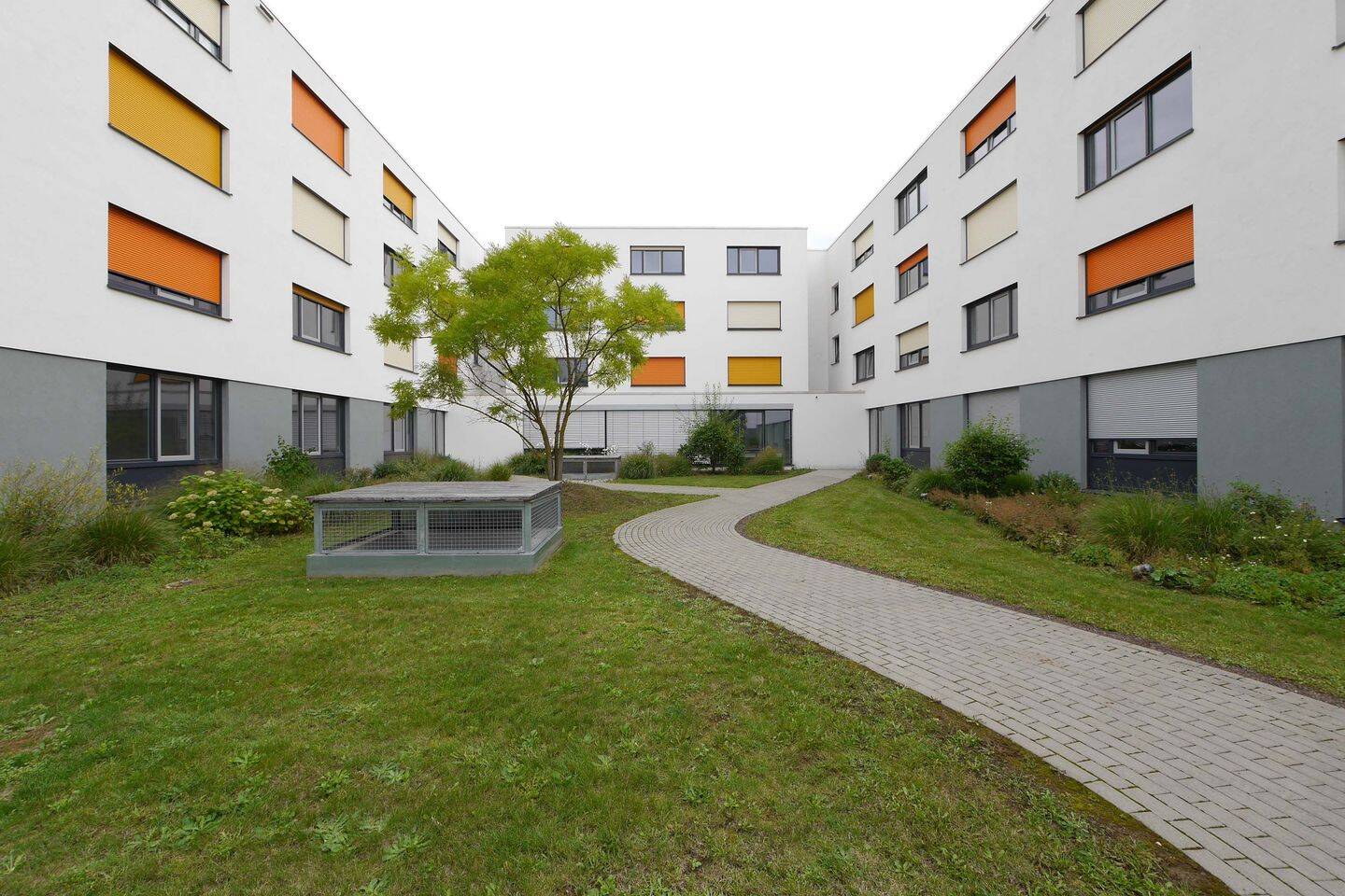 Bild 5