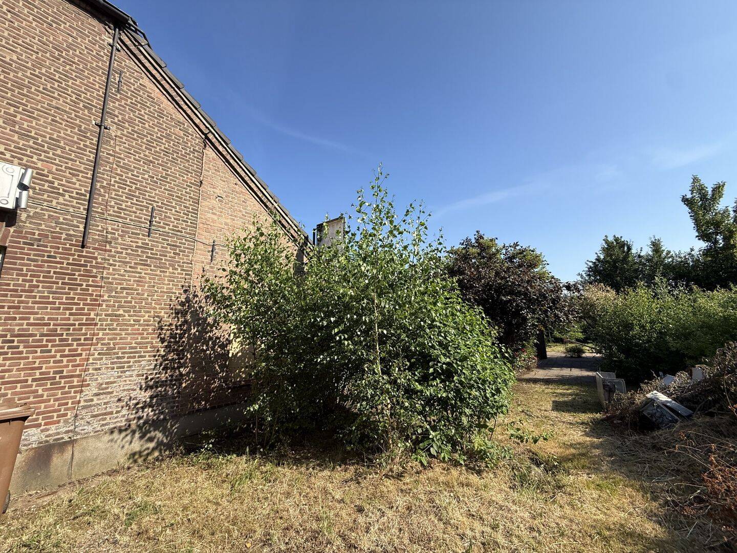 Bild 7