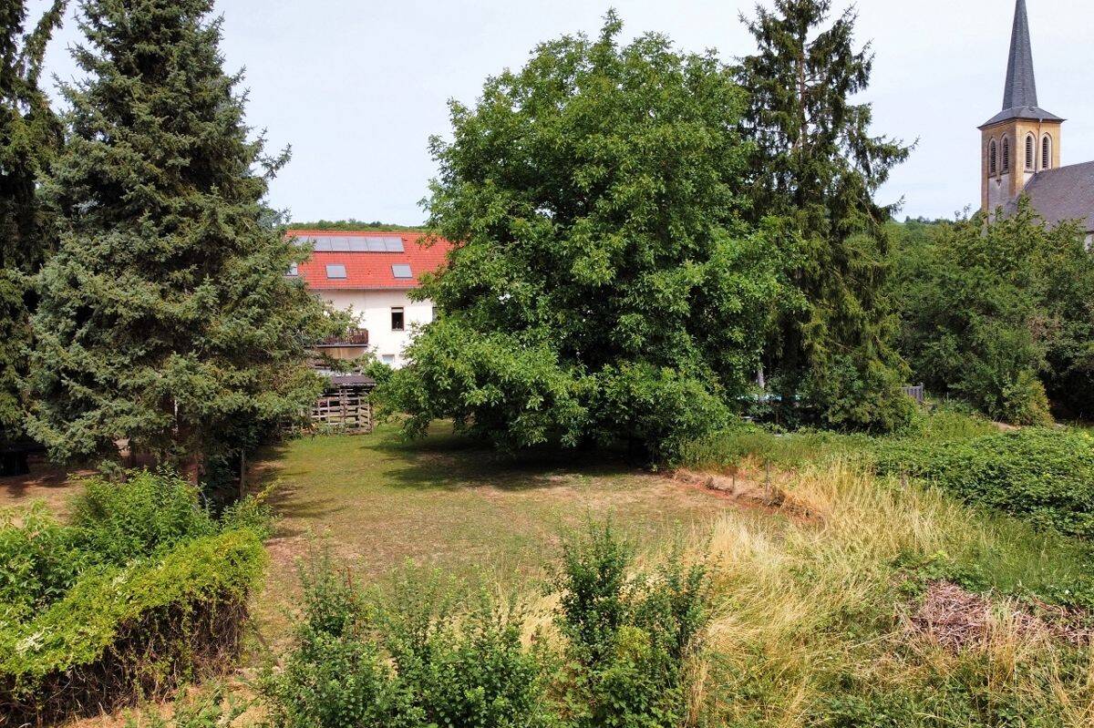 Bild 7