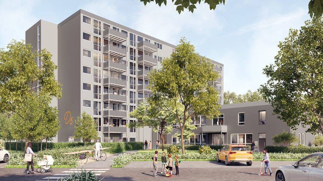 Bild 5