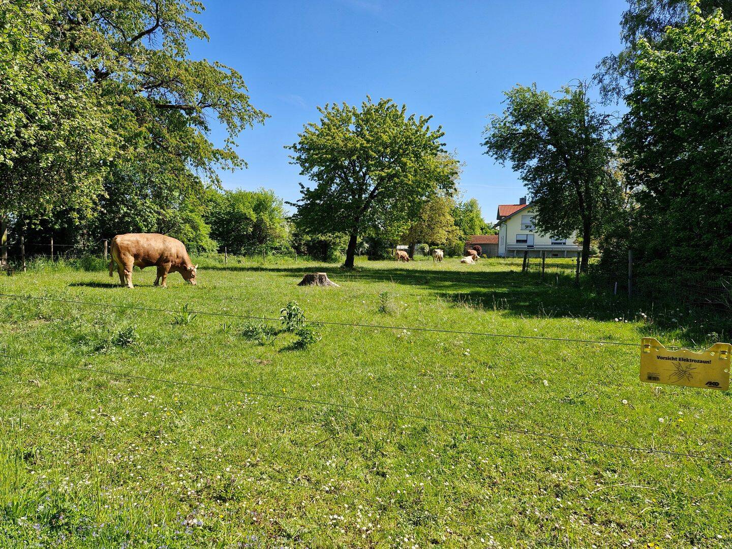 Bild 7