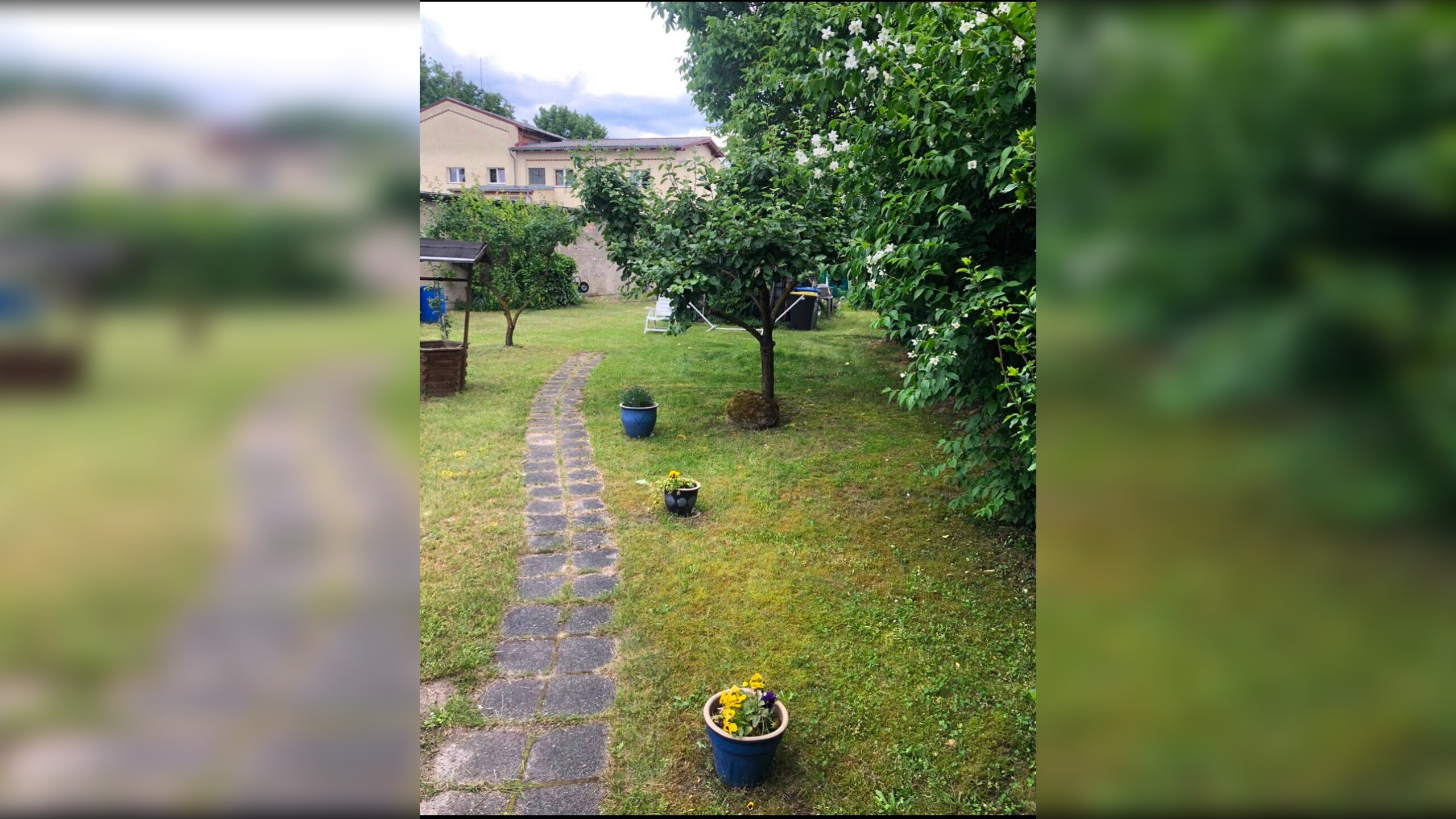 Bild 19