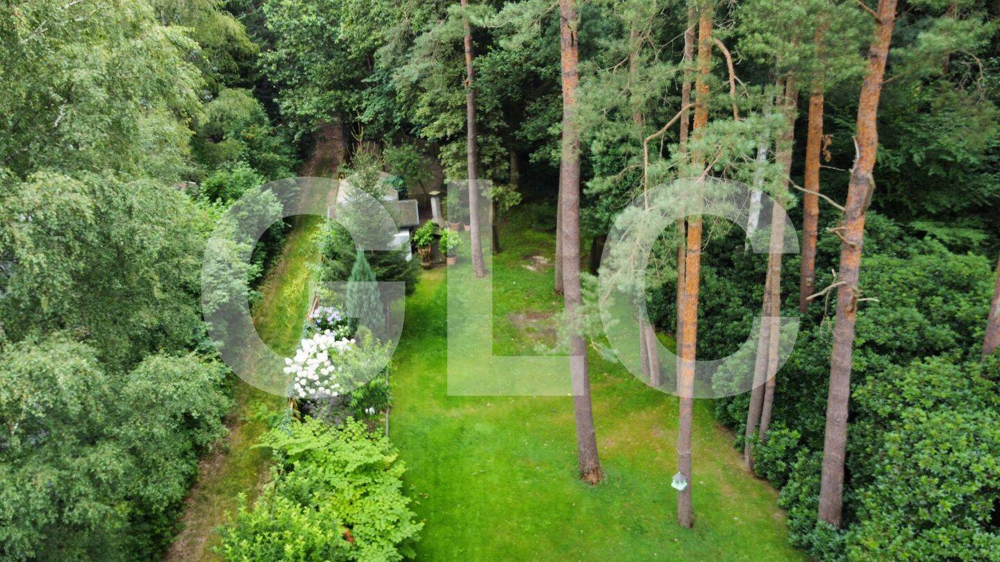 Bild 12