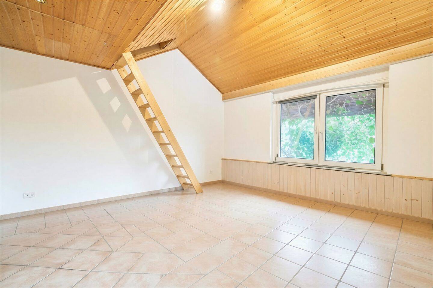 Bild 17