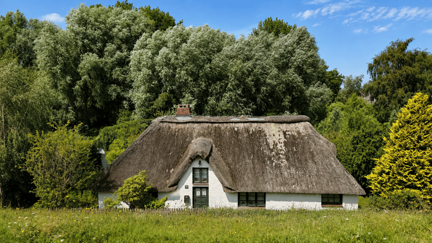 **Nordseetraum hinterm Deich – charmante Reetdachkate mit Garten und optionaler Naturfläche**, 25832 Tönning