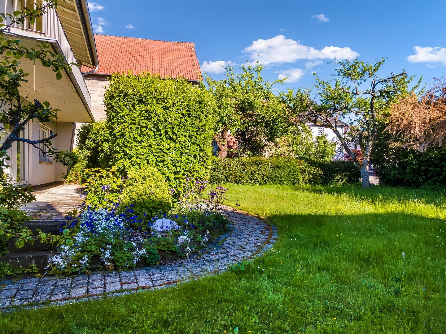 Bild 8