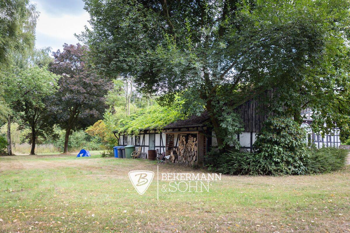 Bild 17