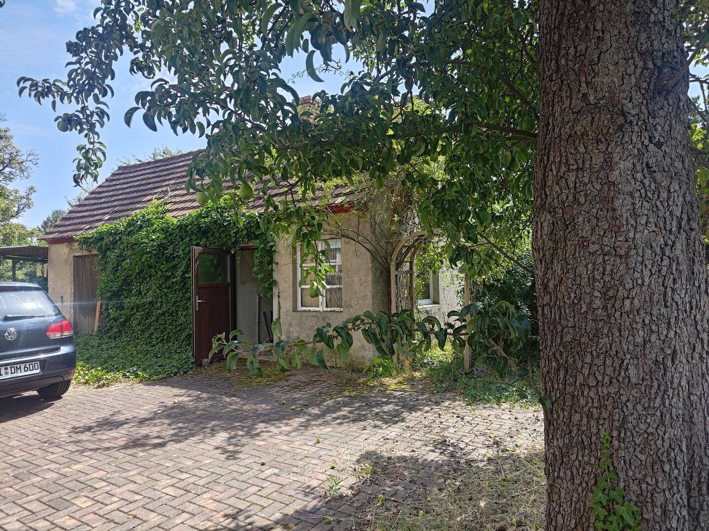 Bild 5