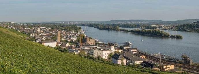 Geräumige, helle 2 Zimmer Wohnung in Rüdesheim-Eibingen *WG geeignet*, 65385 Rüdesheim am Rhein