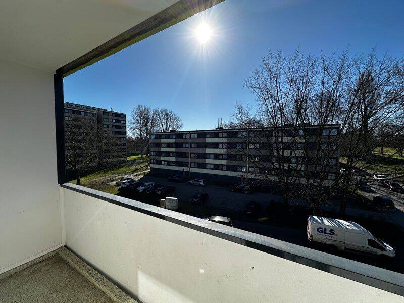 Bild 15